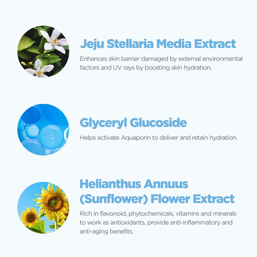 ROVECTIN - Aqua Soothing Sun Cream