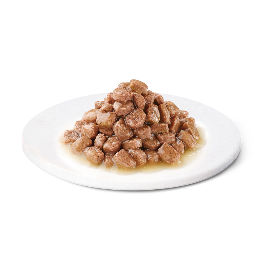 Sachê de 85g de peru ao molho Advance Kitten para gatinhos.