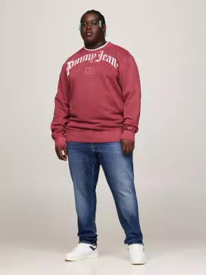 Moletom Plus Logo Relaxed Fit