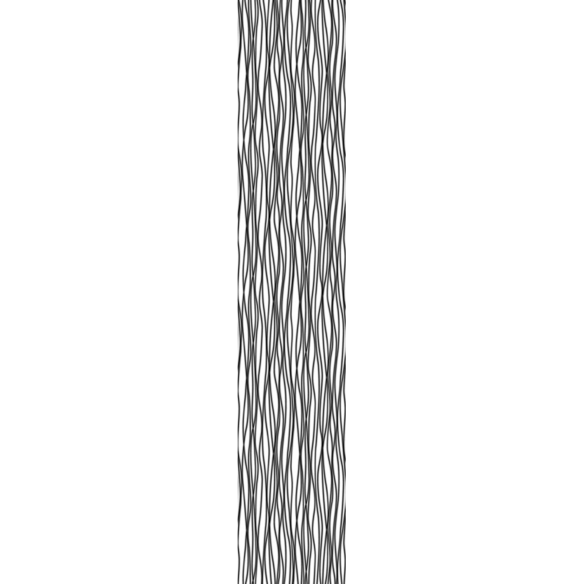 Vlies-Fototapete ZEBRA - schwarz-weiß - 50x270 cm