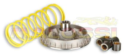 Variateur Malossi Multivar 2000