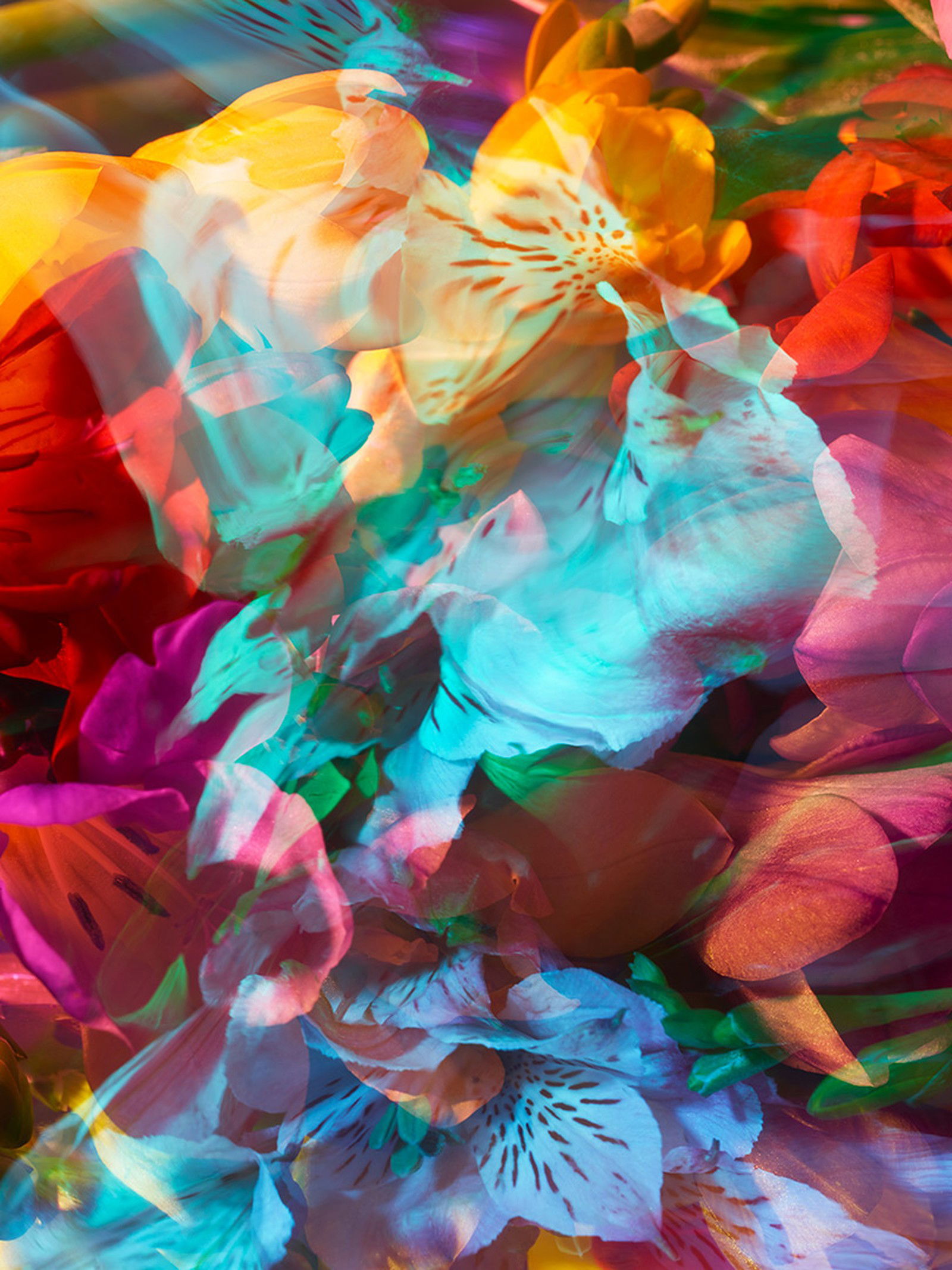 PARALLELS 34 by Andrea Zvadova - Limited Edition. Edition of: 150. Signed.