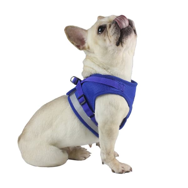 Reflekterende hundesele for liten middels hund - svart/L