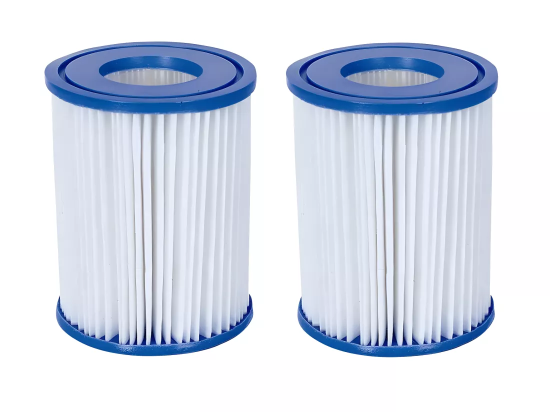 Lot de 2 filtres à cartouches type II pour piscine