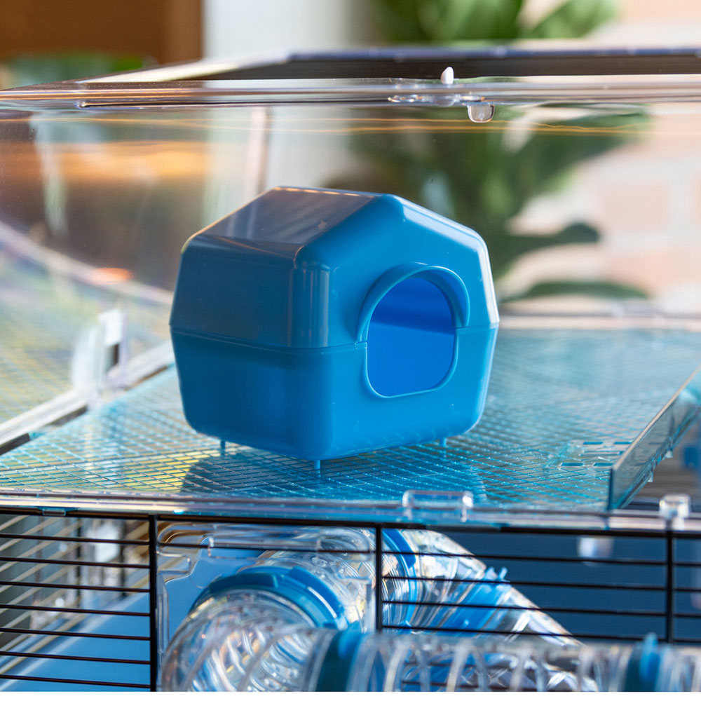 Cage hamsters souris ferplast duna fun large grande taille accessoirisée