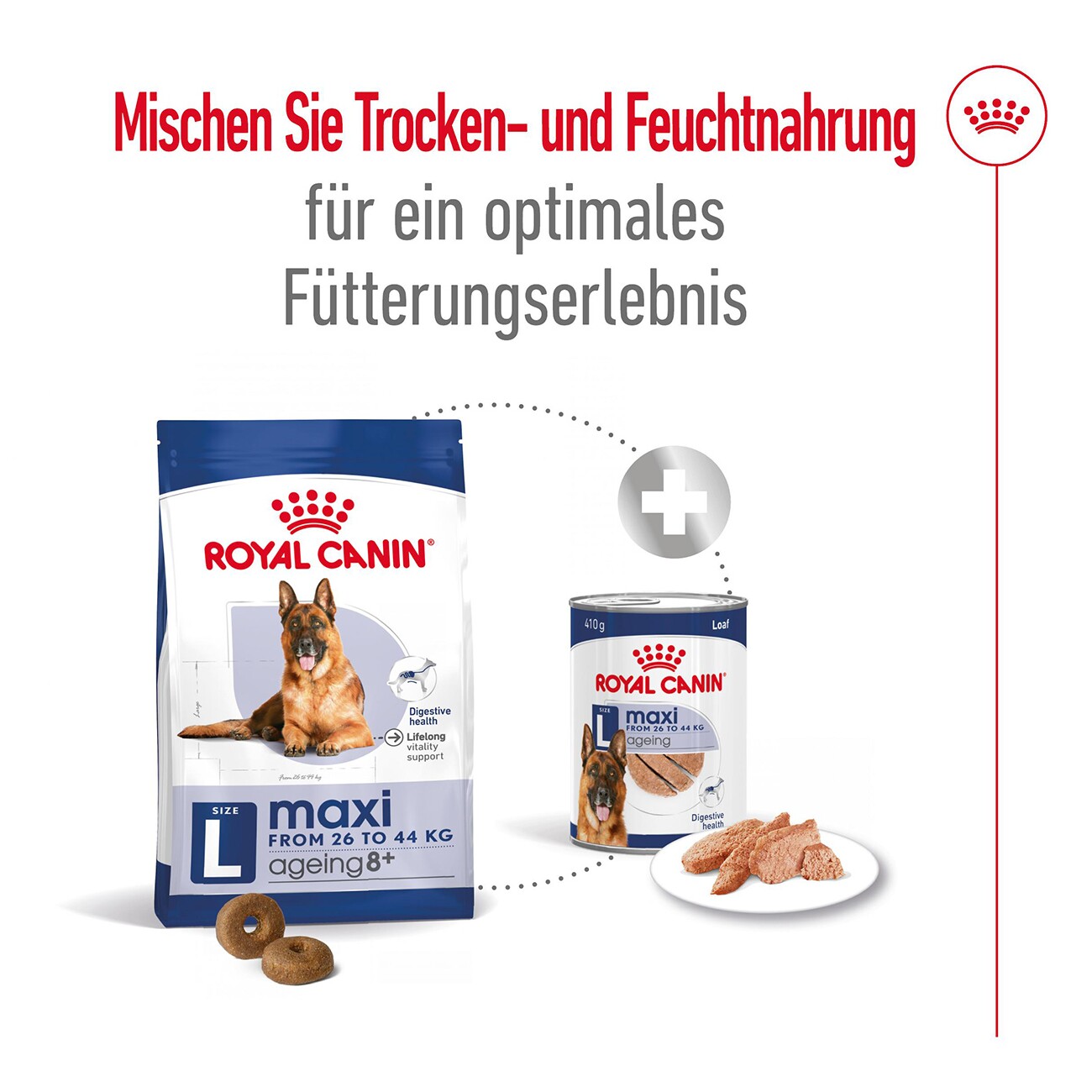 ROYAL CANIN Maxi Ageing Mousse 12x410 g