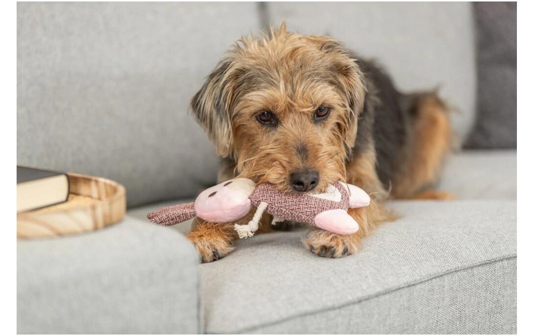 Hunde-Spielzeug Hase, Stoff/Plüsch, 24 cmHunde Spielzeug