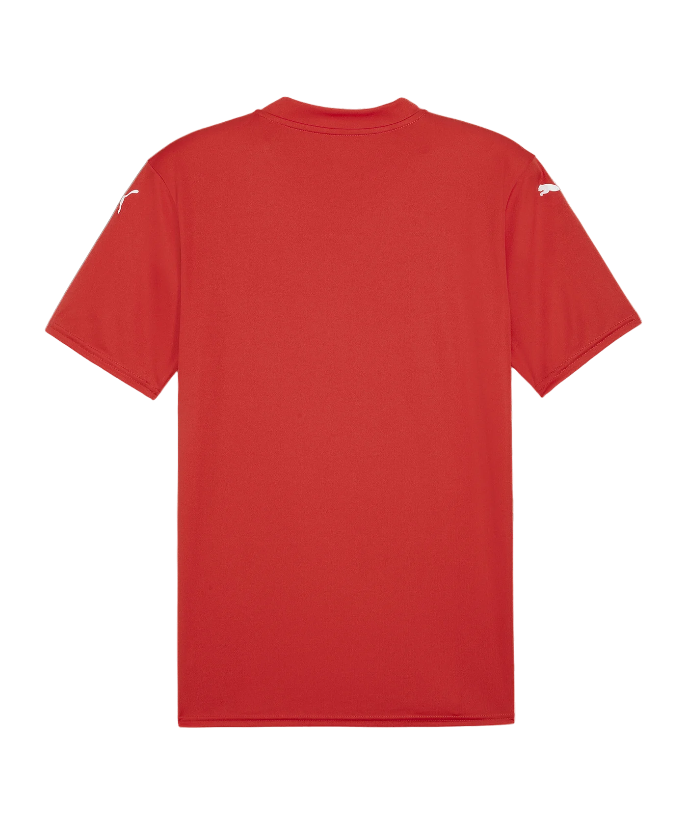 PUMA teamGLORY Trikot Rot Weiss Rot F01