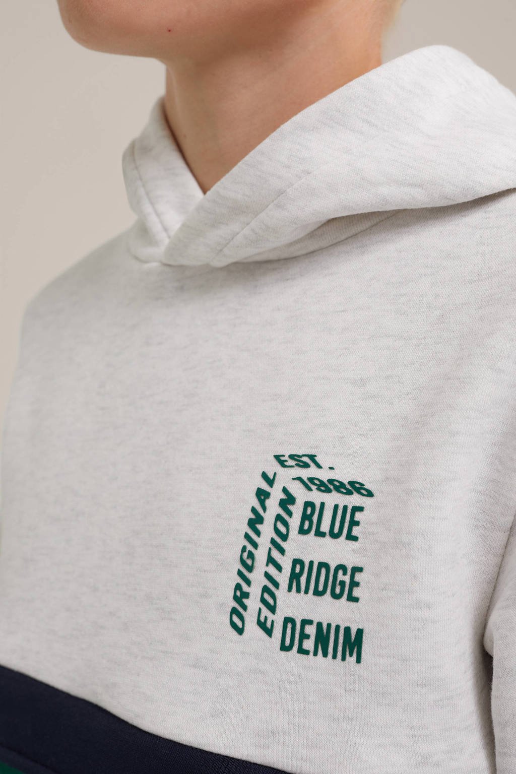 WE Fashion hoodie white melange