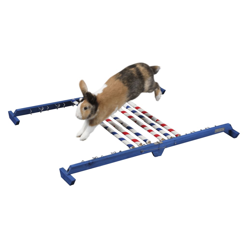 Acessório para animais de estimação de pequeno porte