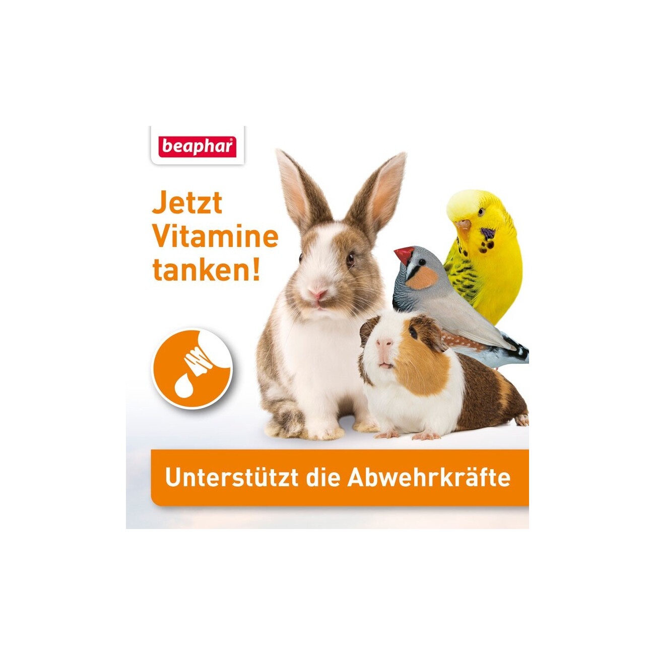 Beaphar Lebensvitamine 50ml
