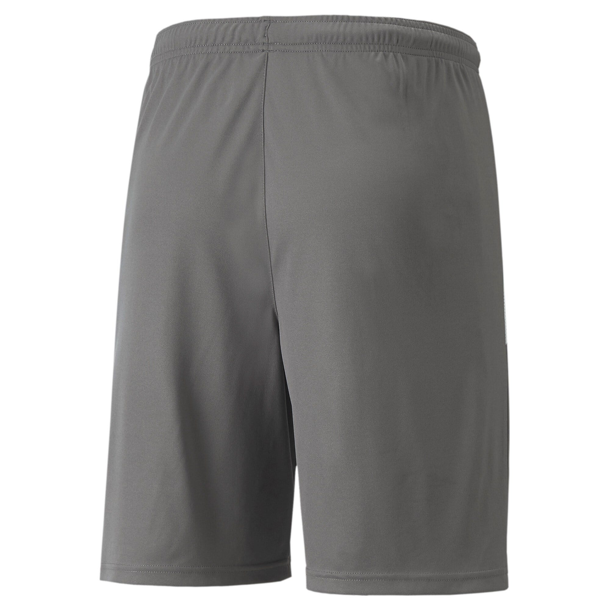 PUMA  Teamliga Shorts