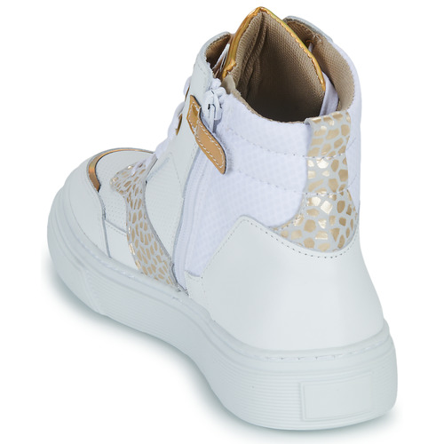 Bullboxer - AOP508 - Blanc