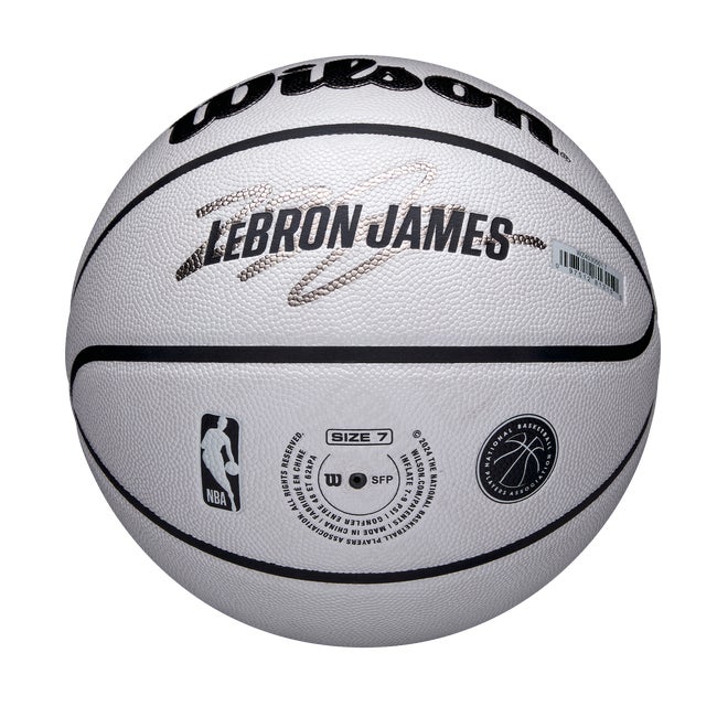 NBA Player Icon UV Basketball - Lebron