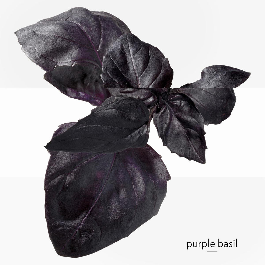 Eau de Basilic Pourpre, Eau de Cologne