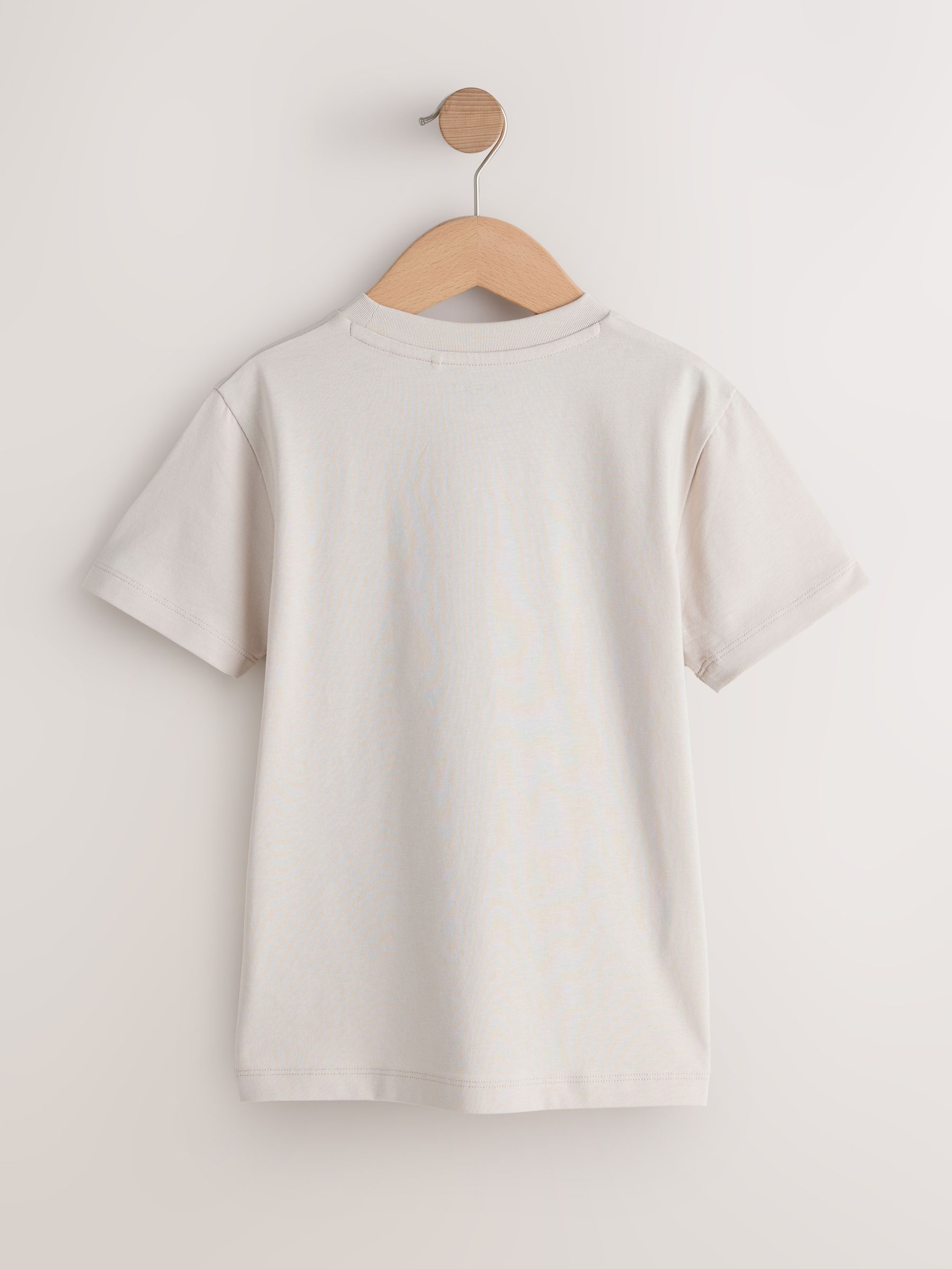 Kiezelkleurige racewagen - Regular fit T-shirt met korte mouwen en grafische print (3-16jaar)