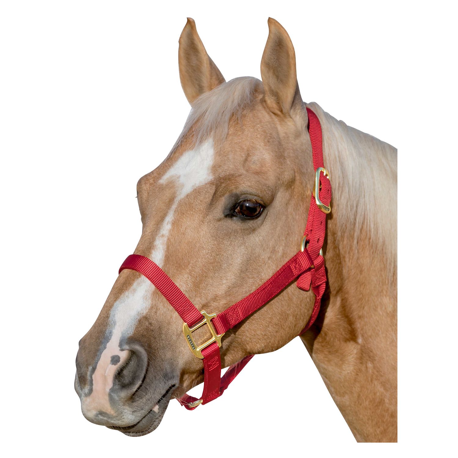 WEAVER LEATHER Halfter Original Non-Adjustable  - rot