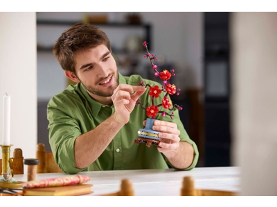 LEGO Japanse abrikoos (10369)