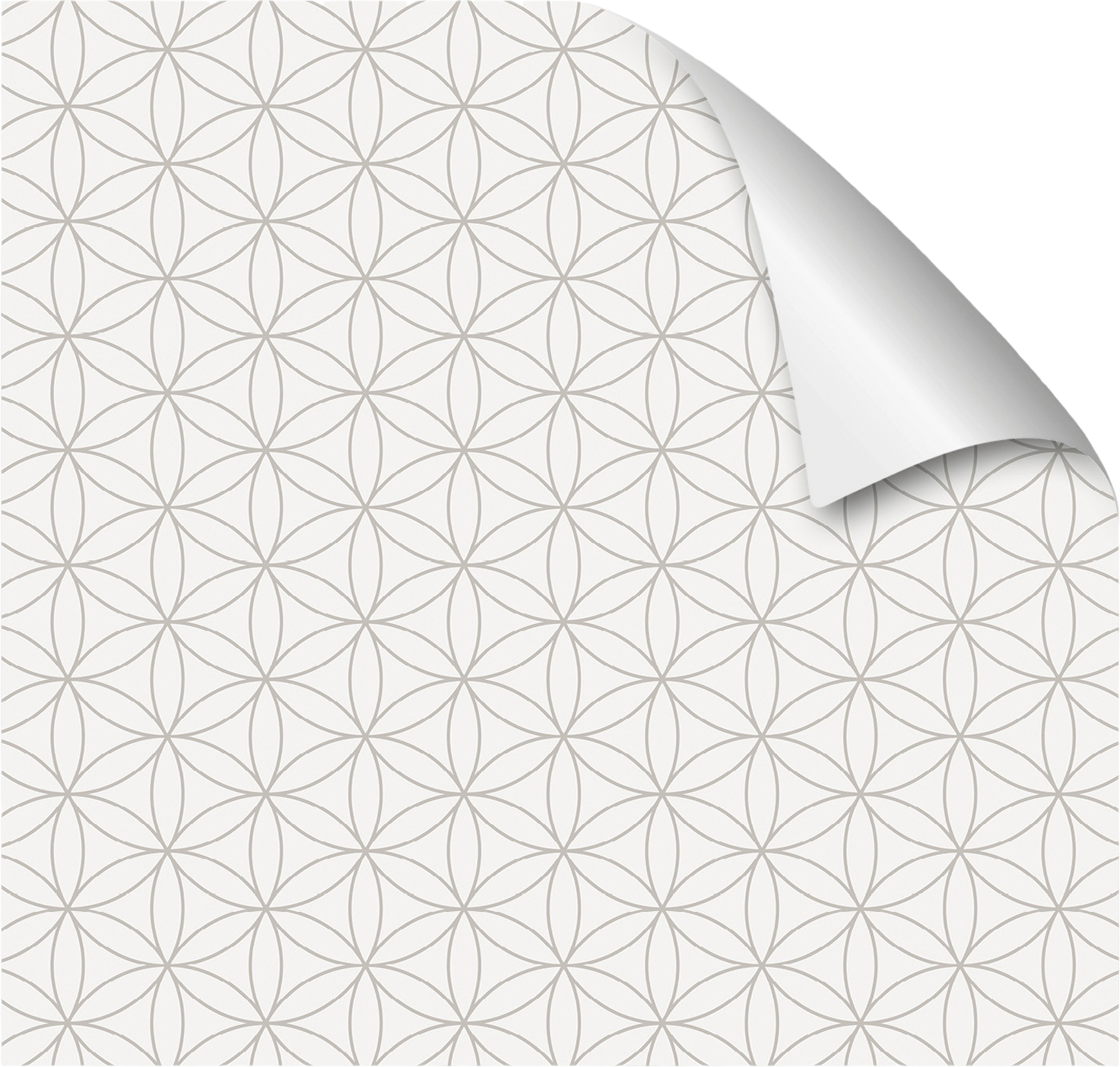mySpotti Fresh Duschrückwandfolie 90 x 120 cm Motiv Kini