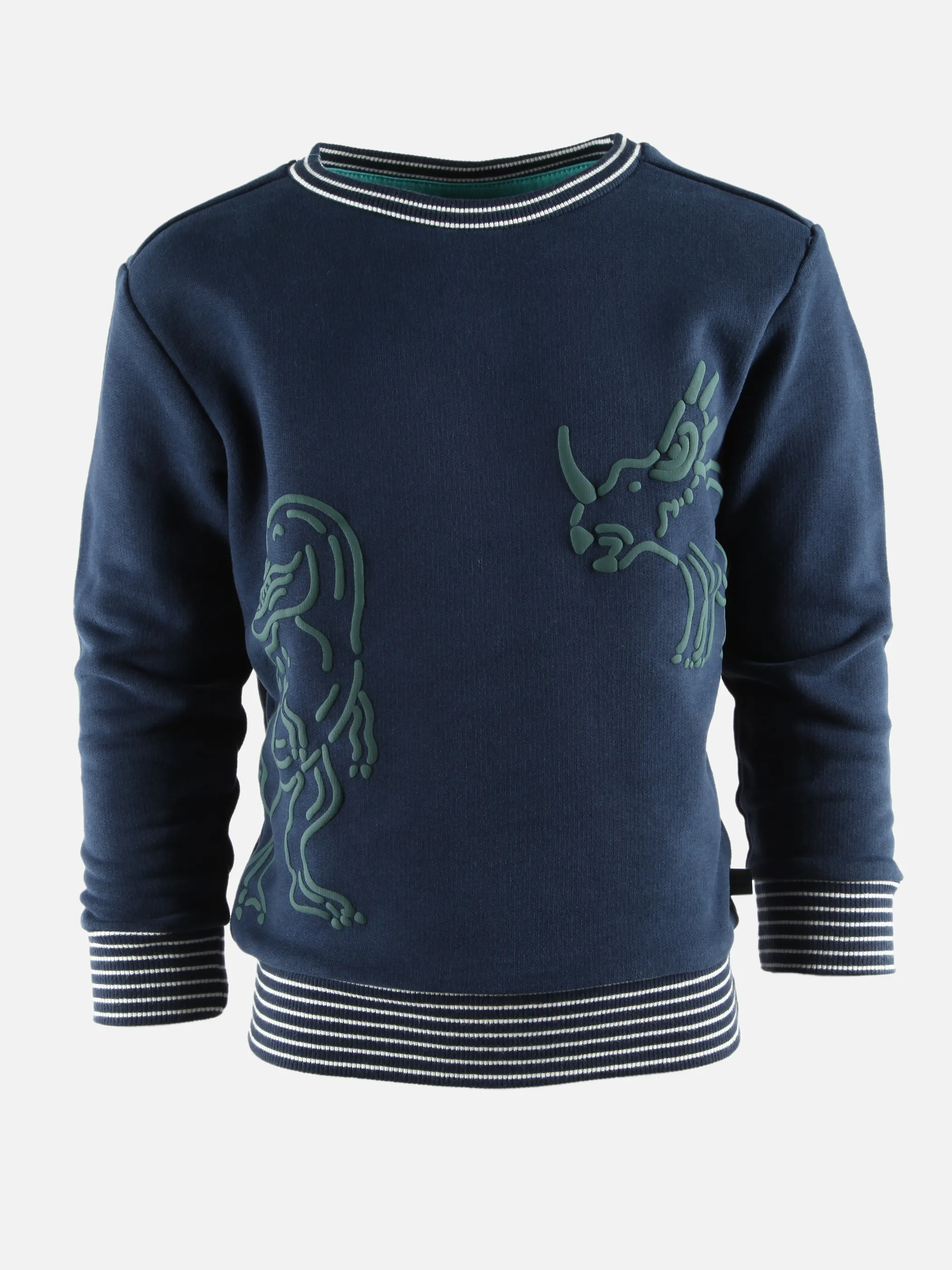 Jungen Sweatshirt mit Dino-Rubberprint