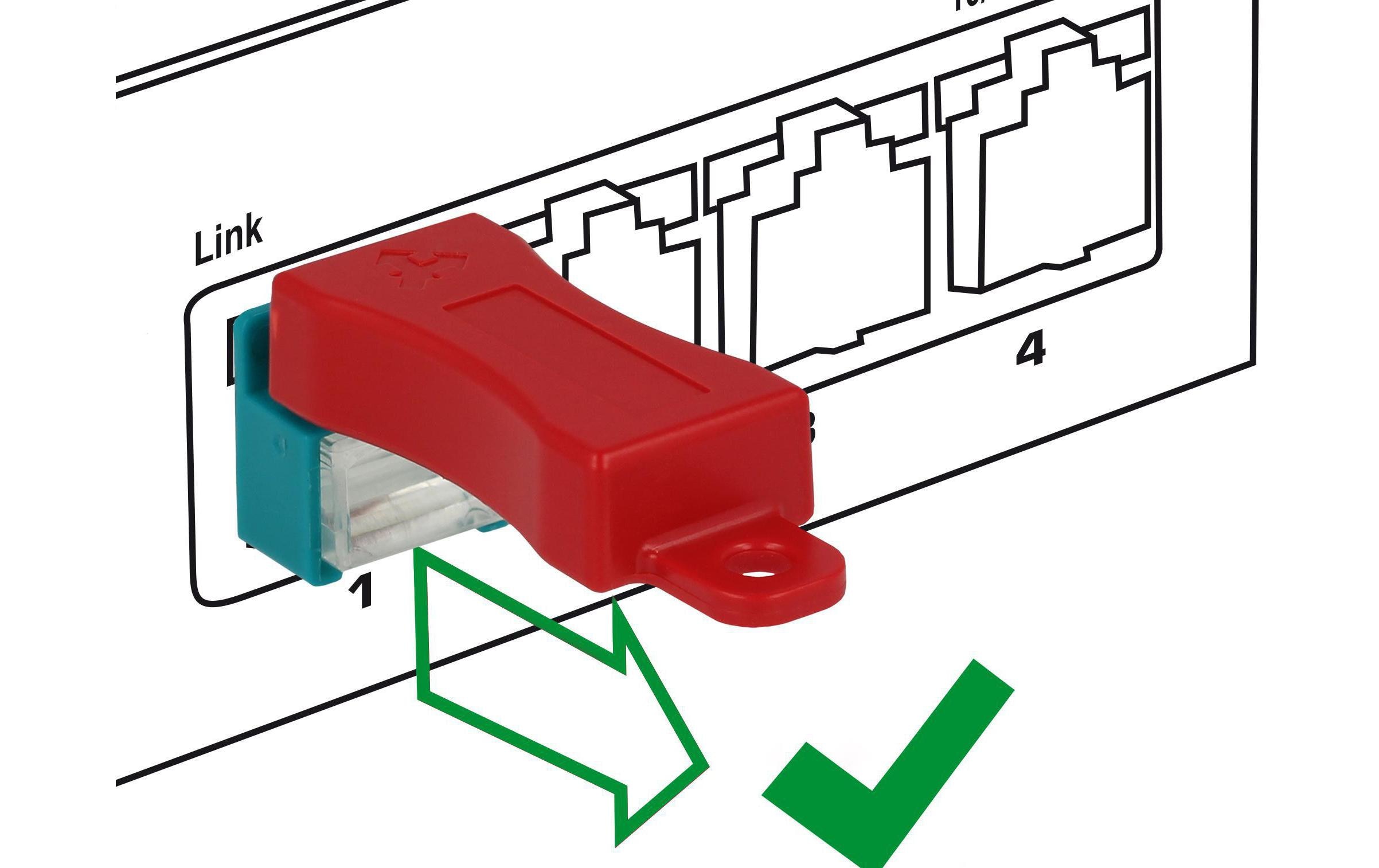 Clip RJ45 Portverriegelung inkl. Stecker Set 6 StückDelock RJ45 Secure Clip mit Stecker Set mit 6 Stück