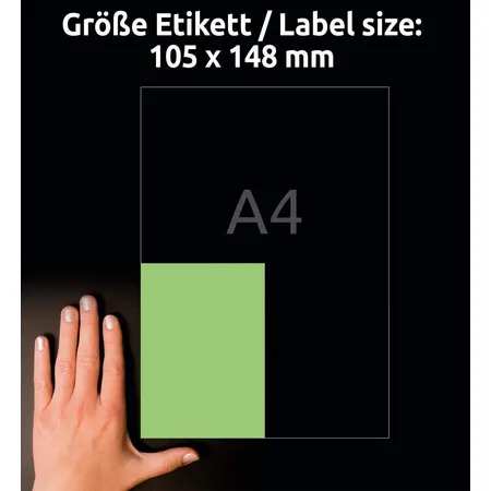Avery Zweckform 3458 Farbige Etiketten,A4 105 x 148 mm, 100 Bogen/400 Etiketten, grün