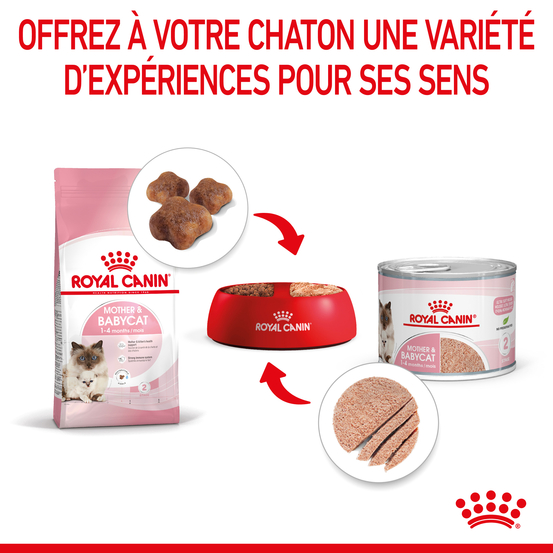 Tendre mousse chatte et chaton 0 à 4 mois Mother&Babycat 195g