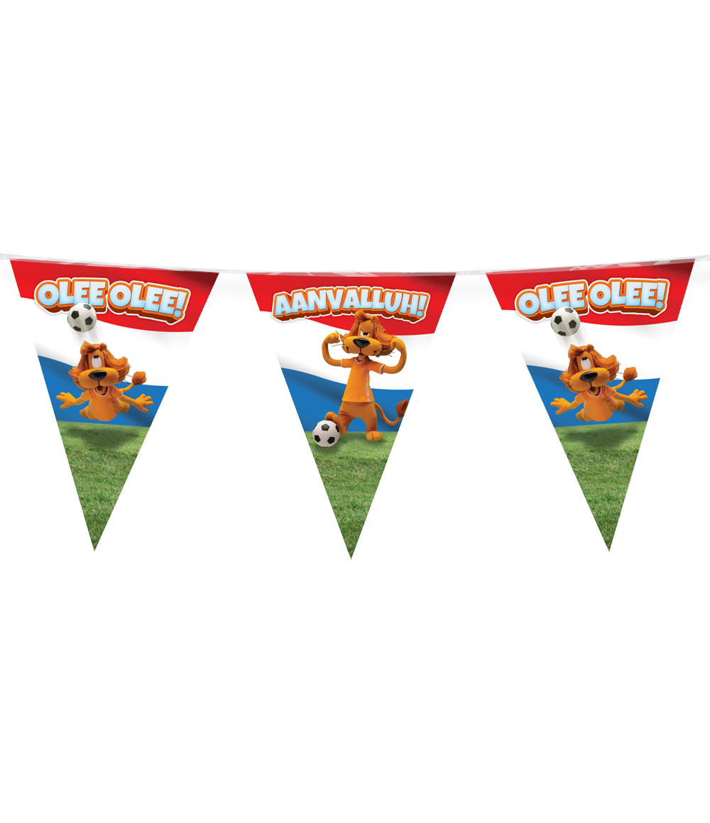 Loeki De Leeuw Slingers 10m