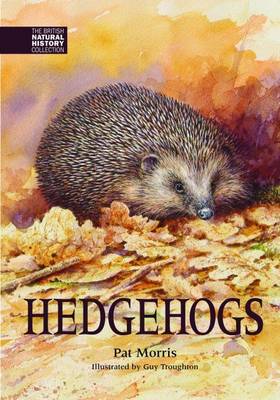 Hedgehogs - The British Natural History Collection 4 (Hardback)