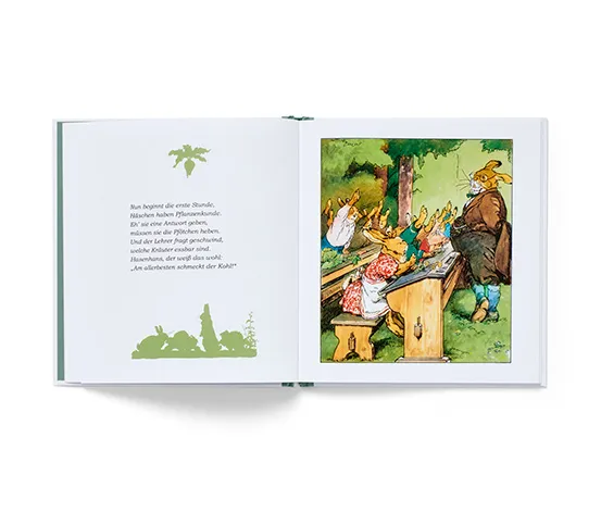 Buch »Die Häschenschule«