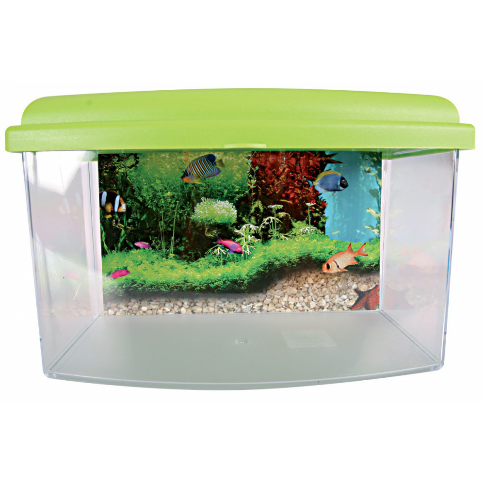 Aqua travel box ii, médium, taille 28 x 20 x h 17 cm, pour poisson couleur