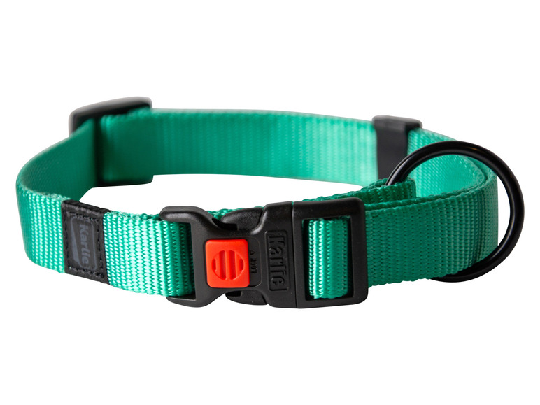 Halsband met lijn