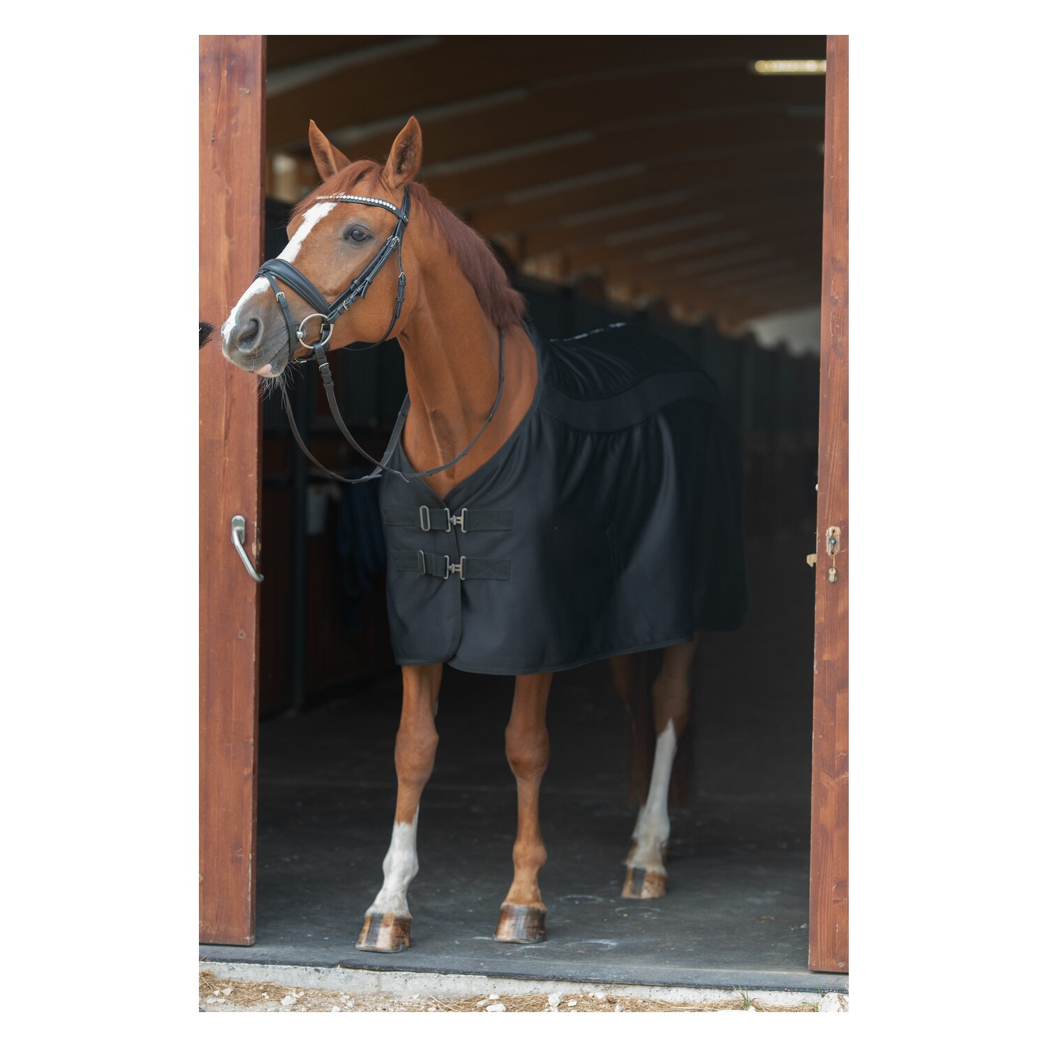 black forest Stall- und Transportdecke Valencia Sommer - black
