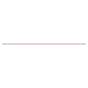 Tuinplank hardhout geschaafd ca. 1,3 x 14,3 cm, lengte ca. 240 cm