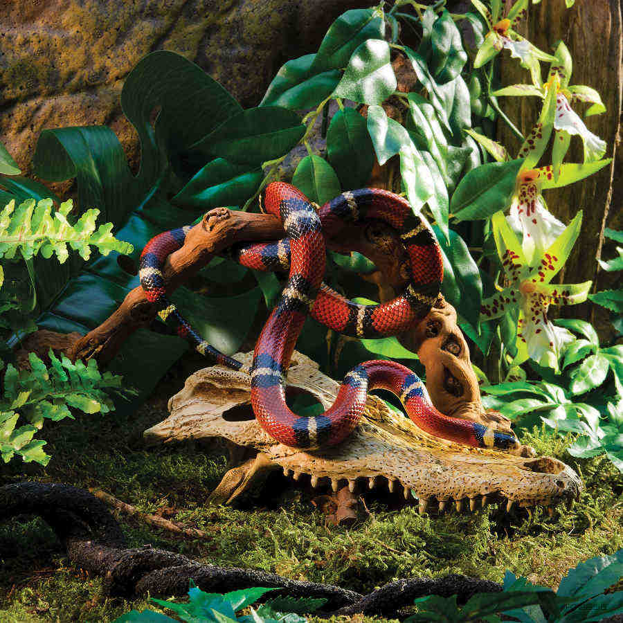 Decoração de terrário com crânio de crocodilo Exo Terra