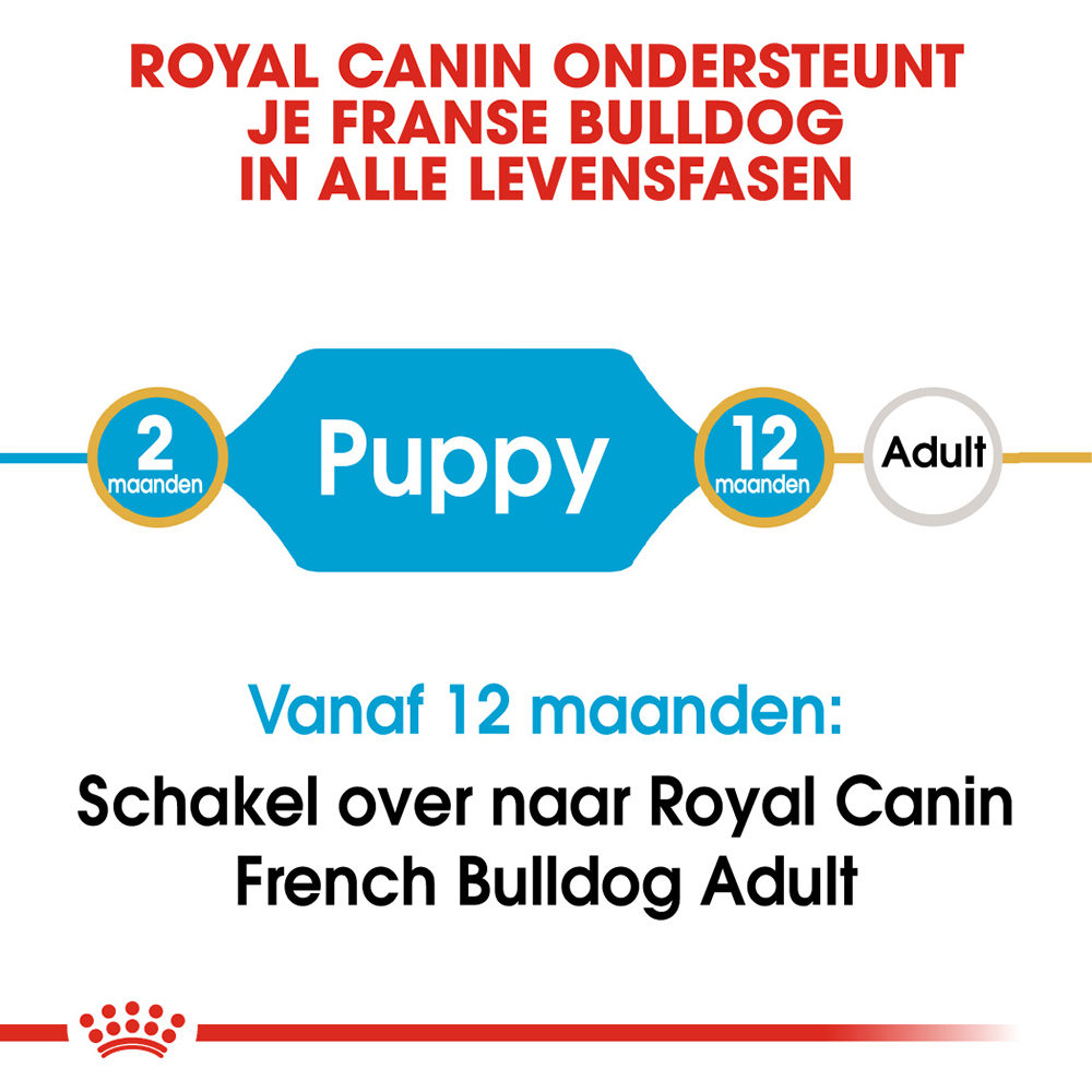 Royal Canin French Bulldog Puppy - Hondenvoer