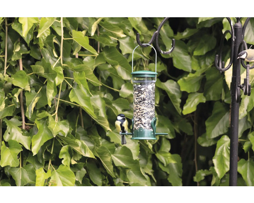 CJ Wildlife Biologisch Wildvogelvoer, 2,5 kg, Vogelvoer voor het hele jaar
