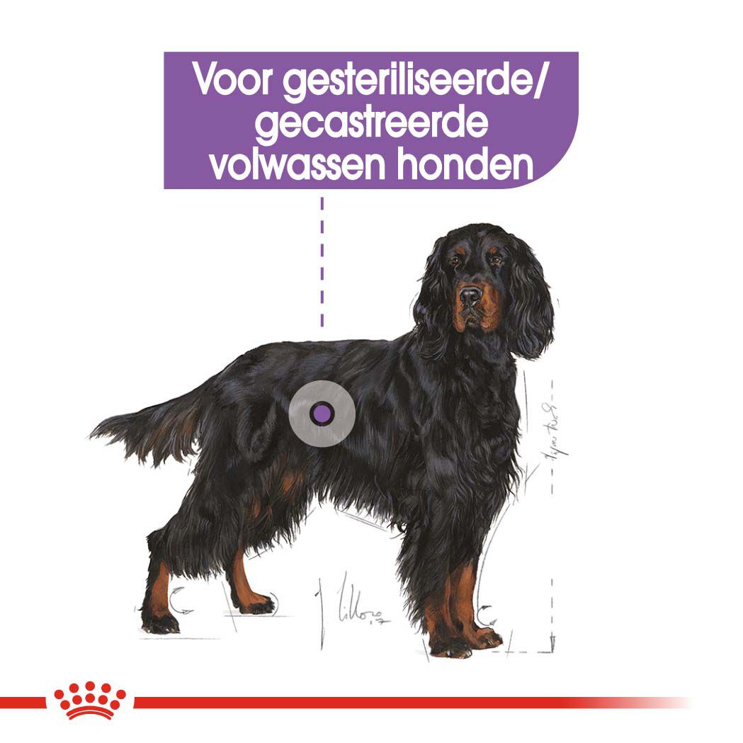 Royal Canin Maxi Sterilised - Hondenvoer - 3 Kilogram - gevogelte