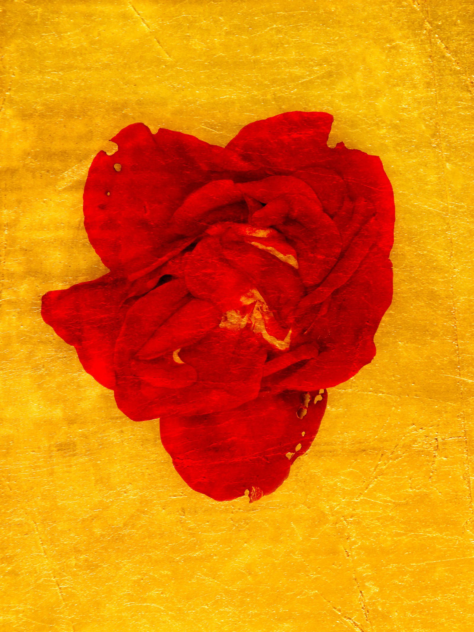 Aurum I by Michael Wissing - Limited Edition. Edition of: 100. Signed.