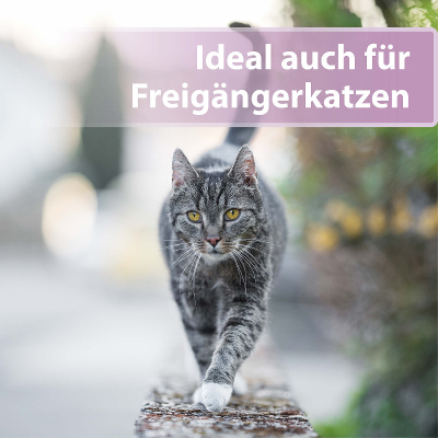 Felisept Pfotenpflege für Katzen 75g