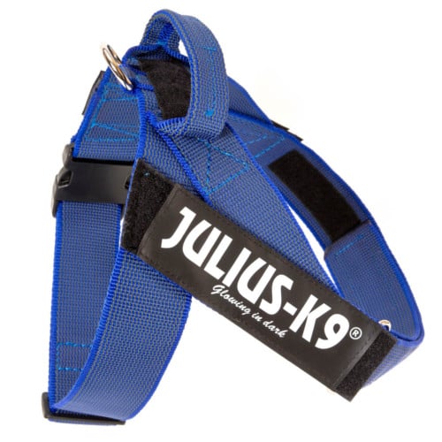 Coleira para cães Julius K9 IDC Azul