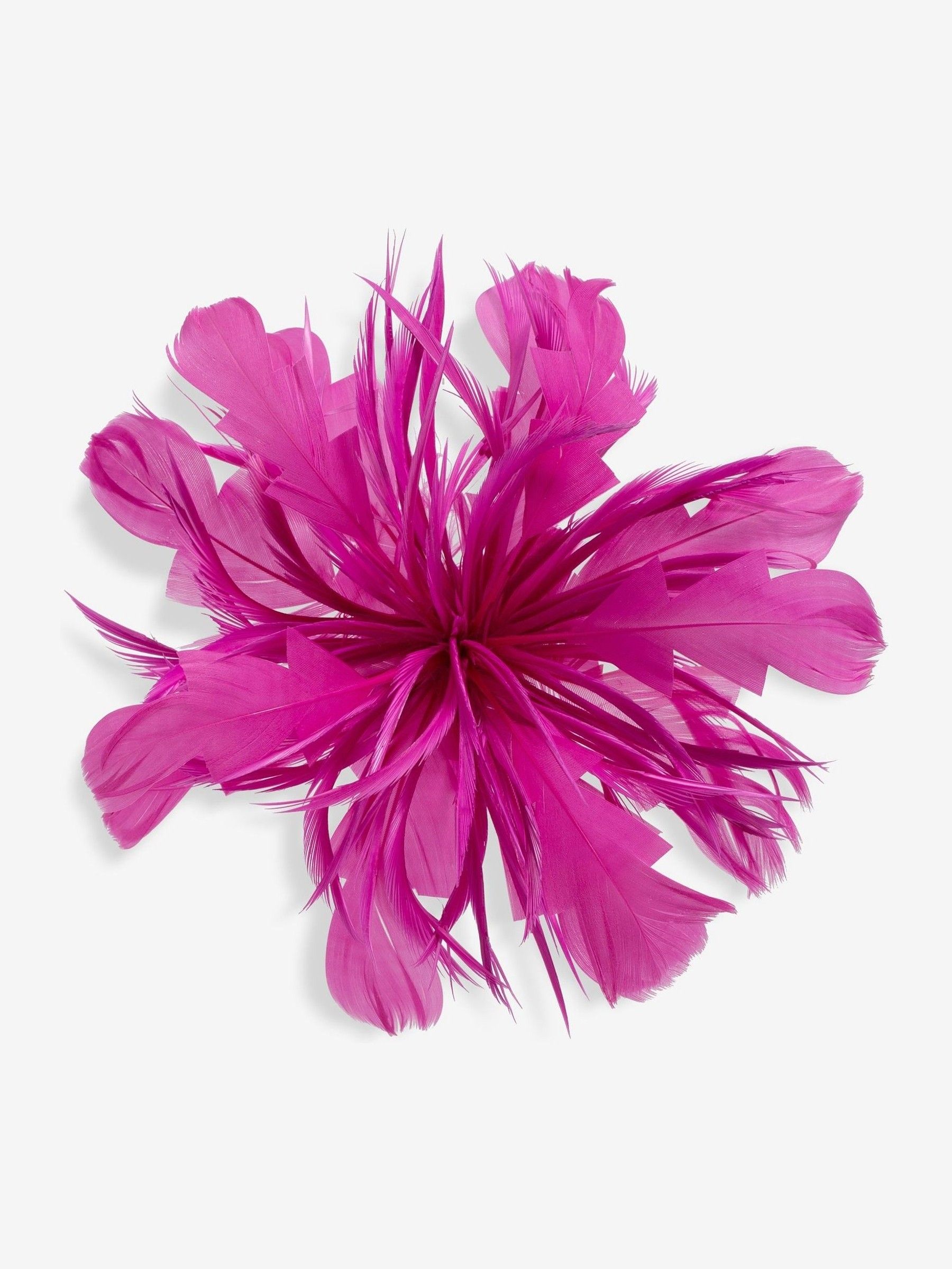 Jon Richard Fuchsia Statement Bloemen Clip Fascinator