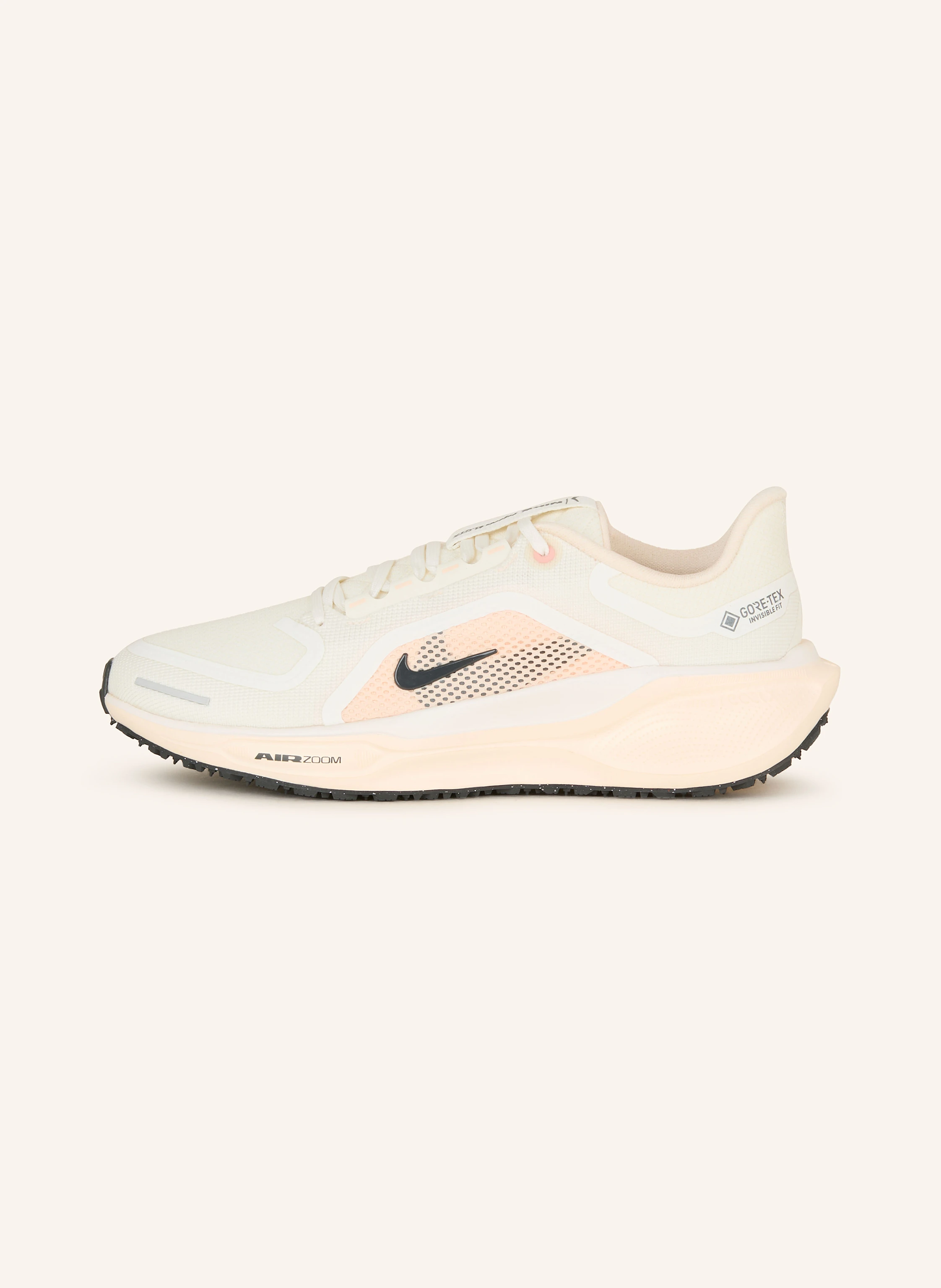 Nike Laufschuhe AIR ZOOM PEGASUS 41 GTX