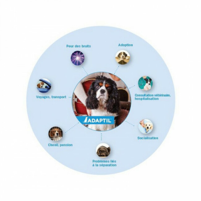 Collier anti-stress Adaptil pour chiens