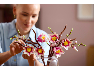 LEGO Magnoliatakken (11510)