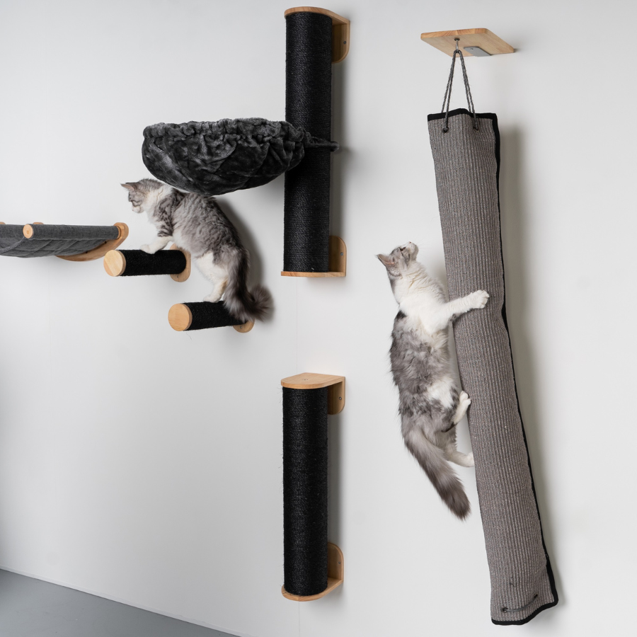 Parede de escalada para gatos - Bolsa para escalar e arranhar