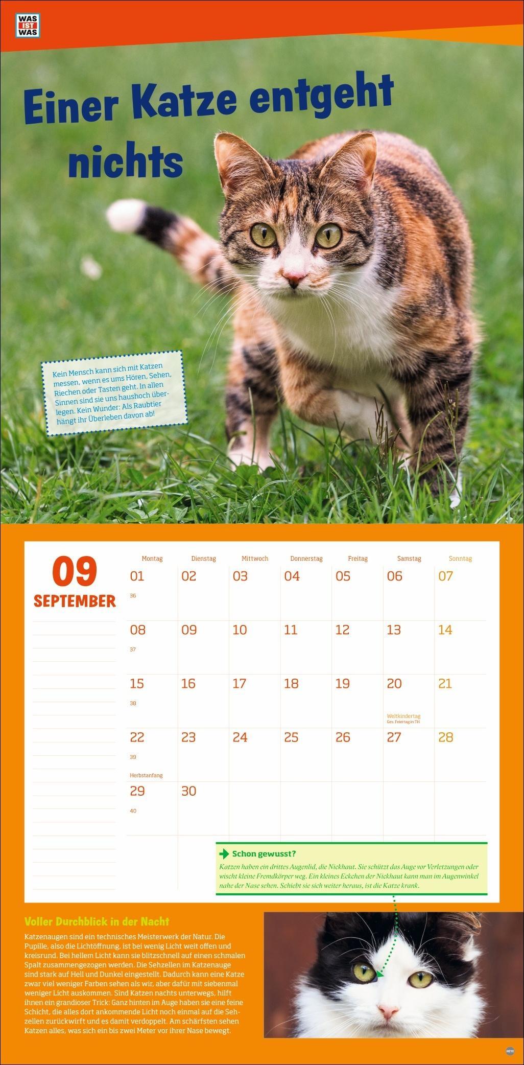 WAS IST WAS Tierwelt Broschurkalender 2025