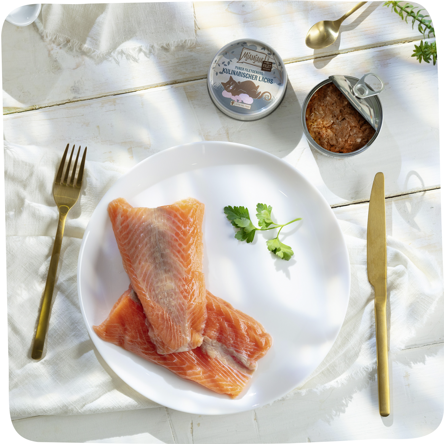 MjAMjAM Purer Filetgenuss - kulinarischer Lachs