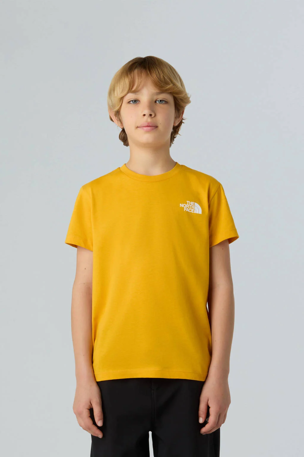 The North Face T-shirt Box NSE geel