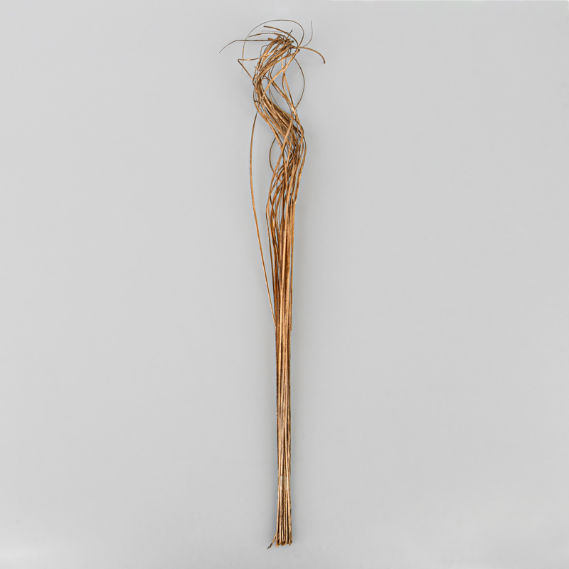 Branches ting ting dorées